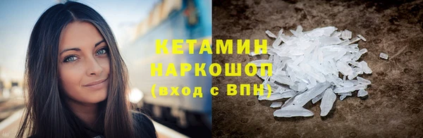 твердый Новодвинск
