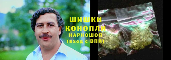 твердый Новодвинск