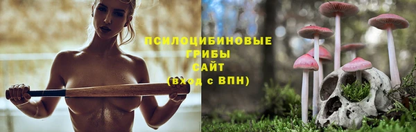 винт Новокубанск