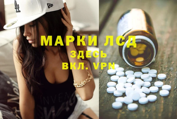 твердый Новодвинск