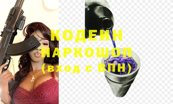 твердый Новодвинск