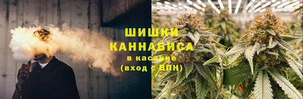 твердый Новодвинск
