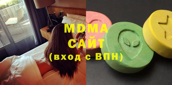 прущие грибы Апатиты