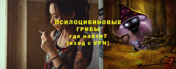 винт Новокубанск