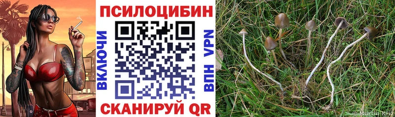 Псилоцибиновые грибы Psilocybe  ОМГ ОМГ ссылка  Владимир 