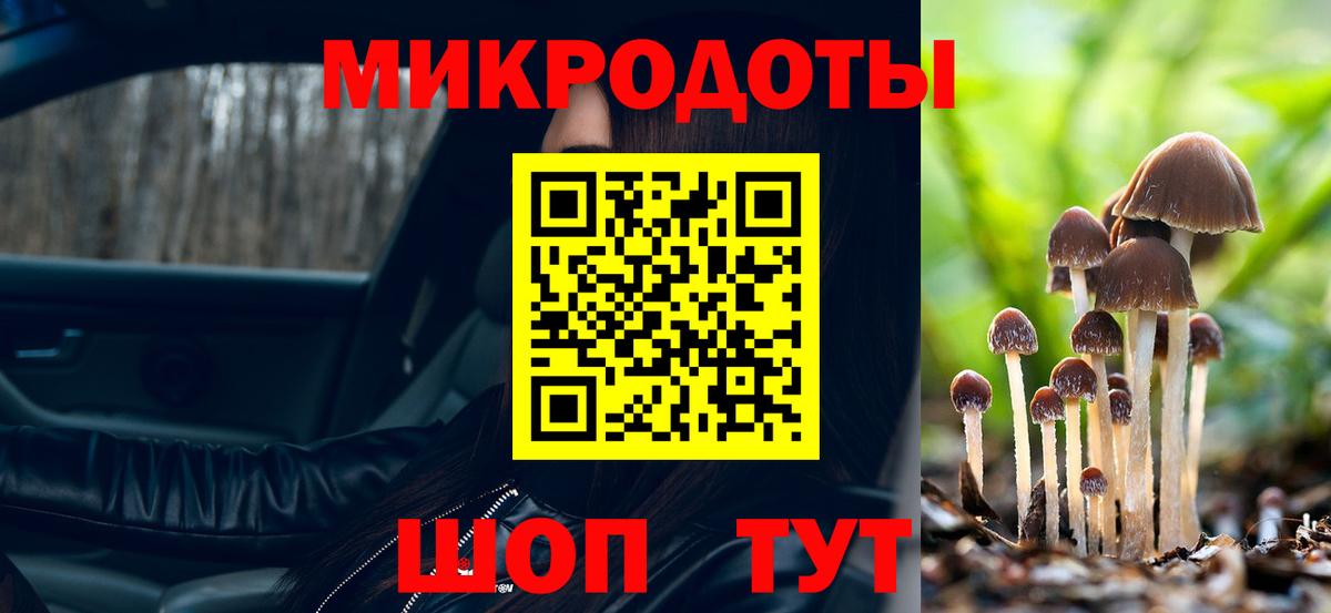 Галлюциногенные грибы Psilocybine cubensis  Вход с VPN  Владимир 